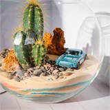 Флорариум "Подари ЕЙ мечту" NEW7