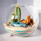 Флорариум "Подари ЕЙ мечту" NEW7