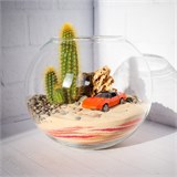 Флорариум "Трасса 60" NEW8