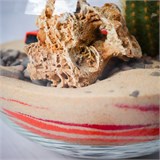 Флорариум "Трасса 60" NEW8