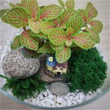 Флорариум с домиком Flo08