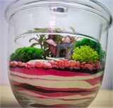 Яркий розовый флорариум "усадьба" Flo10