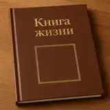 Книга жизни именинника - настоящий VIP-подарок на День рождения КНИГА
